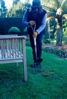Sowing grass seed on patch of lawn - Sow grass seed over the patch and rake lightly to cover some of the seeds 