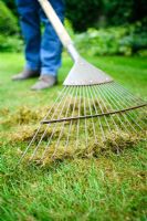Woman using a rake to remove moss from a lawn