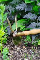 Copper hand hoe being used for weeding