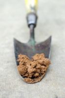 London Clay soil sample on vintage garden trowel