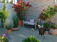 Gravel courtyard with container plantings of Rosa 'Medley Red', Rosa 'Flammentanz', Humulus, Lavandula, Rosmarinus, Spartina and Cuphea llavea 'Vienco' 