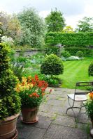 View of terrace and garden in Spring. Vintage folding garden seat, pots of wallflowers. View to lawn with box topiary