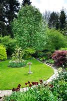 View of neatly kept garden with Sorbus aucuparia in flower, Magnolia underplanted with tulips, stone bird bath, mixed shrubs chosen for their coloured foliage including Philadelphus, Sambucus and Acer
