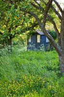 Summerhouse in woodland garden