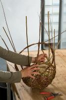 Salix - Making a willow basket