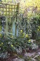 End of small town garden with Mahonias, Fern and Hedera - Ivy covered fence.
 
