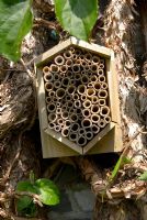 Bug box packed with hollow stems provides dark nooks and crannies in which insects such as Ladybirds, Lacewings and Bees can overwinter in a garden 