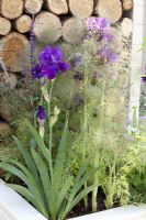 The Unexpected Gardener, Gold medal winner - RHS Chelsea Flower Show 2010