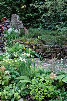 Borders of Iris, Trollius, Rodgersia and Alchemilla mollis, Corylus maxima 'Purpurea', Primula chungensis. The 'Music on the Moors' garden - Gold medal winner at RHS Chelsea Flower Show 2010 