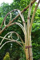 Low angle view of woven willow arches. The 'Music on the Moors' garden - Gold medal winner at RHS Chelsea Flower Show 2010 