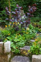 Steps lead up through a stone wall bordered with Corylus maximus 'Purpurea', Geum, Hosta, Primula, Euphorbia, Gallium odoratum and Ferns. The 'Music on the Moors' garden - Gold medal winner at RHS Chelsea Flower Show 2010 