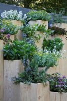 Trifolium, Clematis and Sedum in terraced hexagonal planters - Global Stone Bee Friendly Plants Garden, Silver medal winner at RHS Chelsea Flower Show 2010 