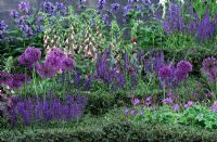Flowerbeds of Allium, Salvia and Geranium with clipped edging - Global Stone Bee Friendly Plants Garden, Silver medal winner at RHS Chelsea Flower Show 2010 
