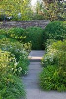 Path lined with Astrantia major 'White Giant', Iris sibirica and Cenolophium denudatum, leading up to clipped Buxus sempervirens - Box balls against a dry stone wall. The Laurent-Perrier Garden, Gold medal winner, RHS Chelsea Flower Show 2010