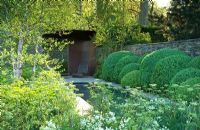 Hedge of cloud-pruned Box along central pool in Woodland garden. Betula underplanted with Astrantia major 'White Giant', Euphorbia wallichii and Cenolophium denudatum. The Laurent-Perrier Garden, Gold medal winner, RHS Chelsea Flower Show 2010
 