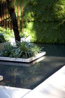 Pond with planting in rectangular island beds. The Tourism Malaysia Garden, Gold medal winner, RHS Chelsea Flower Show 2010