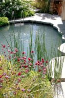 Plunge pool with Aquilegia in foreground. The Children's Society garden, Gold medal winner, RHS Chelsea Flower Show 2010 
 
