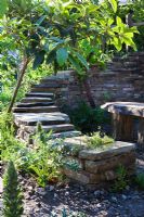 A Mespilus germanica, Medlar tree with a curving dry stone wall and seating area in The Stephen Hawking Garden for Motor Neurone Disease, Bronze medal winner, RHS Chelsea Flower Show 2010
