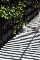 Gravel path with cast shadows from fence. The Cancer Research UK Garden, Gold Medal Winner RHS Chelsea Flower Show 2010