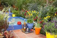 Containers on patio in Moroccan garden with blue edged pool, Hillier Nurseries, RHS Chelsea Flower Show 2010 