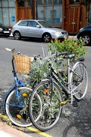 On road cycle parking in an Islington street using Plantlock containers filled with plants, North London. 