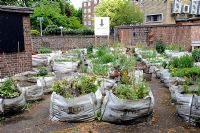 The Vacant Lot allotment garden where local residents from a nearby housing estate grow vegetables in growbags on a disused space in Hoxton, London, UK