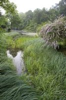 Lake with waterside planting with Rushes and small island with Buddleja alternifolia. Lake House
