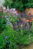 Richly coloured perennials add seclusion to a sheltered seating area, including Lychnis chalcedonica, Lilium regale, Sidalcea, Campanula, Salvia verticillata 'Purple Rain' and Alstroemeria