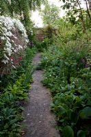 Path leading through early summer border in walled garden - Old Buckhurst, Kent 
