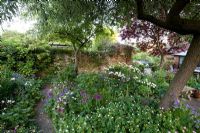 Summer border in walled garden including Alliums, Iris, Papaver and Geraniums - Old Buckhurst, Kent