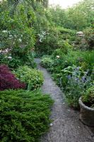 Pathway through mixed early summer borders in walled garden - Old Buckhurst, Kent