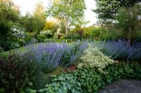Raised lawn with early summer border including Salvia - Old Buckhurst, Kent