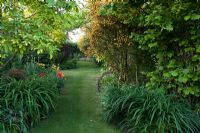 Grass pathway leading through early summer borders - Old Buckhurst, Kent