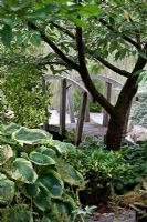 Japanese Garden at Barnsdale Garden