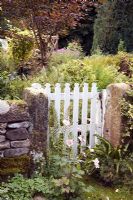 Cottage garden gate surrounded by Anemones and ferns 