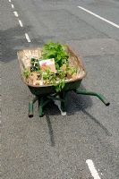 Wheelbarrow full of potted plants in the middle of the road, Hackney, London, UK