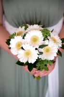 Bouquet of white Gerbera held by a woman wearing a green dress