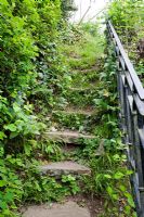 Overgrown steps with bannister. Chauffeurs Flat, Surrey