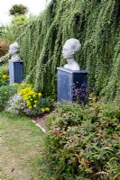 Larix sp. behind decorative stone busts. Chauffeurs Flat, Surrey