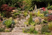 Stone steps leading through the rockery of the Japanese garden at Mount Pleasant Garden, Kelsall, Cheshire 