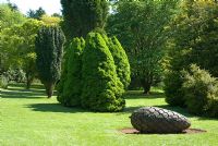 Arboretum with a wooden sculpture of a giant pine cone at Threave Garden, owned by The National Trust for Scotland, Dumfries and Galloway 