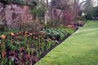 Formal mixed Tulipa border including Tulipa 'Jane Packer', 'Sensual Touch', 'Orange Princess' and 'Herman Emmick' - Pashley Manor Gardens, Wadhurst