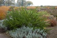 The Bicentenary Glasshouse Garden at RHS Wisley in November