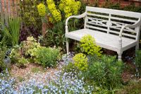 Wooden bench surrounded by border of Euphorbia and Myosotis sylvatica.  Brickwall Cottages, Frittenden, Kent