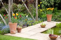 Border of mixed Tulipa, Euphorbia and Myosotis sylvatica. Wooden pergola and pond, Tulips in containers.  Brickwall Cottages, Frittenden, Kent