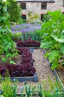 Runner beans, Leeks, Lettuce 'Bijou', Lavandula angustifolia 'Munstead' in walled vegetable garden - Sedbury Park Secret Garden, Orchard House, Sedbury Park, Monmouthshire