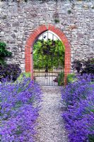 Archway in the walled vegetable garden and Lavandula angustifolium 'Munstead' - Sedbury Park Secret Garden, Orchard House, Sedbury Park, Monmouthshire