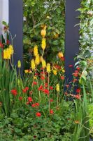 Hor border planting with citrus fruits and Kniphofia. 'Food 4 Thought' - Gold Medal Winner - RHS Hampton Court Flower Show 2010 
  