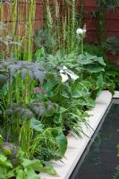 Textural planting borders a pool. 'Urban Serenity' - Gold Medal Winner - RHS Hampton Court Flower Show 2010 