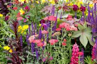 Achillea, Hemerocallis 'Corky' and Salvia nemorosa 'Caradonna'. 'Much ado about nothing' - Silver Gilt Medal winner - RHS Hampton Court Flower Show 2010 
 